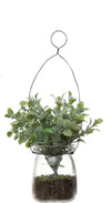 Hanging Herbs in Jar