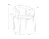 CAYMAN DINING ARMCHAIR