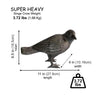 Black Cast Iron Crow, Head to Side