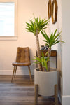 Round Standing Plant Pot - Natural