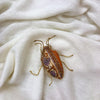 Handmade Beetle Ornament