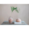 Terra-Cotta Pot with Handles