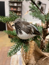 Feather Bird Clip-On Ornament